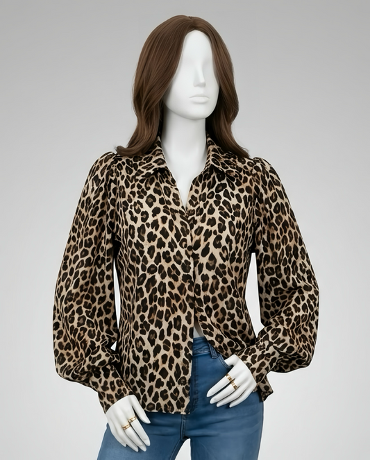Women Long Sleeve Blouse
