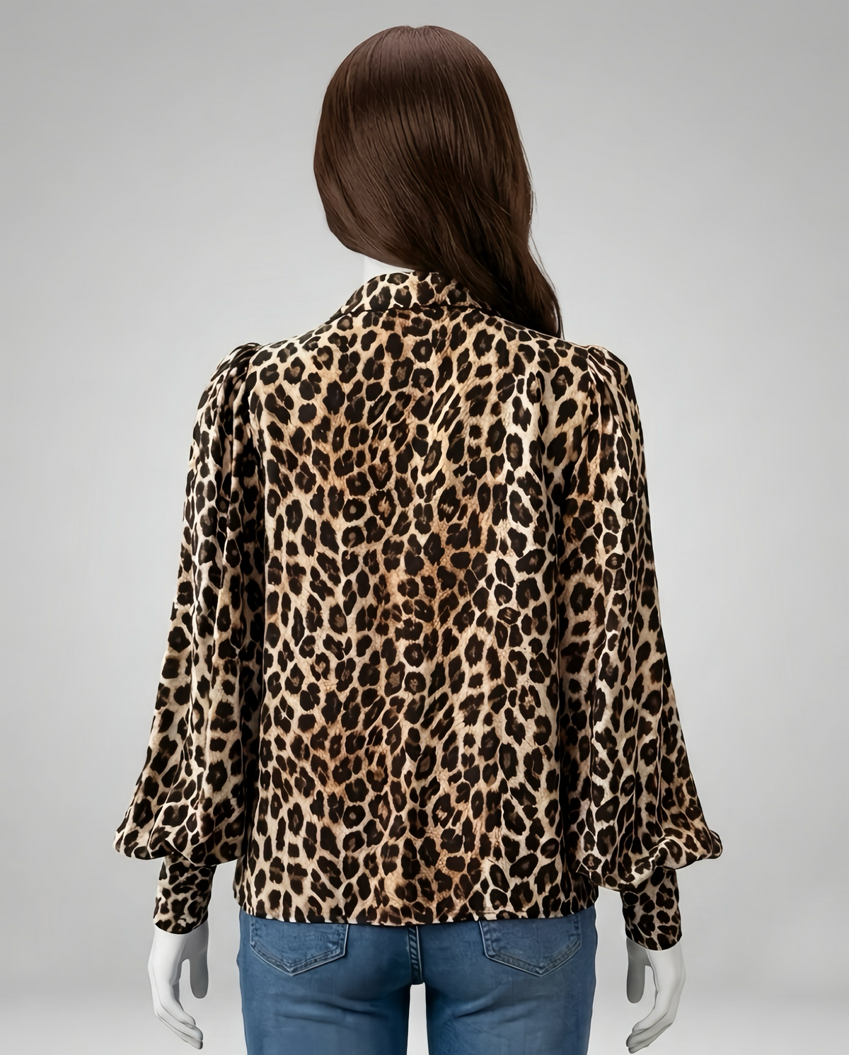 Women Long Sleeve Blouse